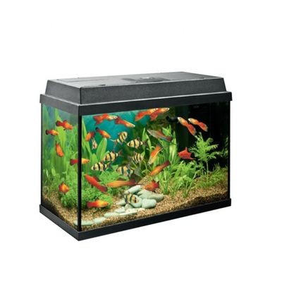 德國黑鉆魚缸專賣店是消費(fèi)者購買高質(zhì)量魚缸的良好品牌形象：如何維護(hù)德國黑鉆魚缸專賣店