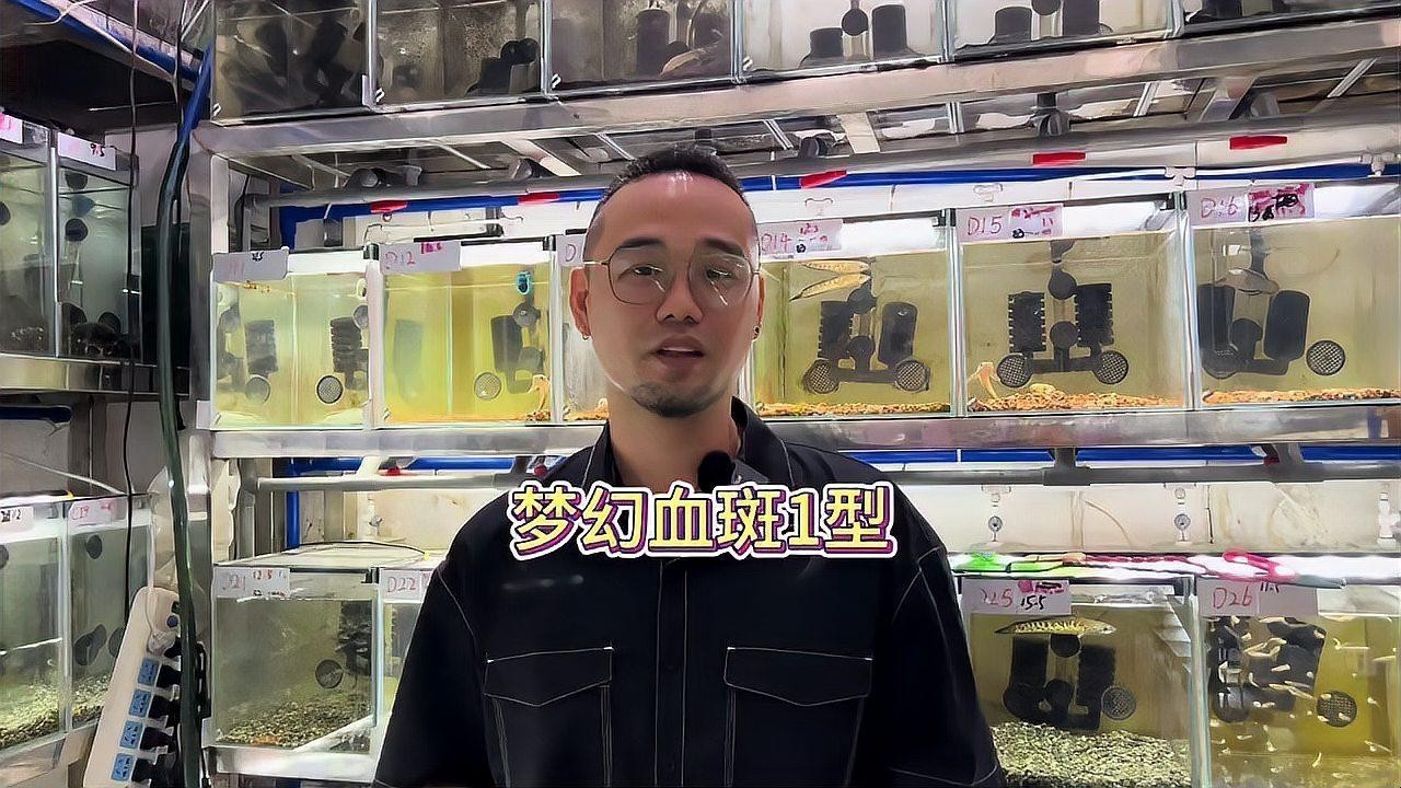 雷龍魚單養出狀態