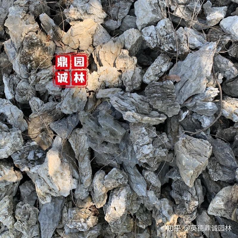 龍魚缸造景圖片大全 龍魚缸造景圖片大全 龍魚論壇 第24張