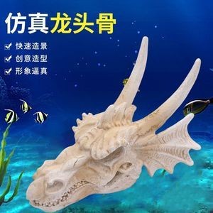 三角龍魚能活多久（三角龍魚的壽命受到哪些因素的影響？）