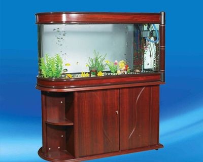 漢川賣魚缸的具體價格是多少？：漢川賣魚缸的具體價格
