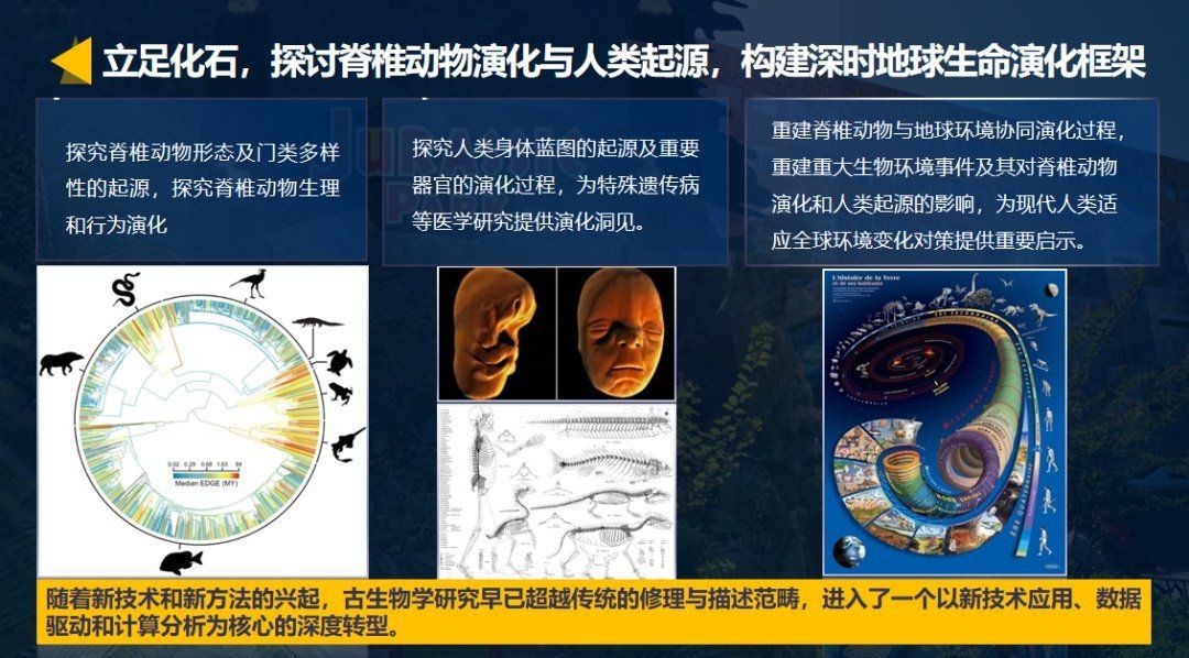 和恐龍一個(gè)時(shí)代的魚