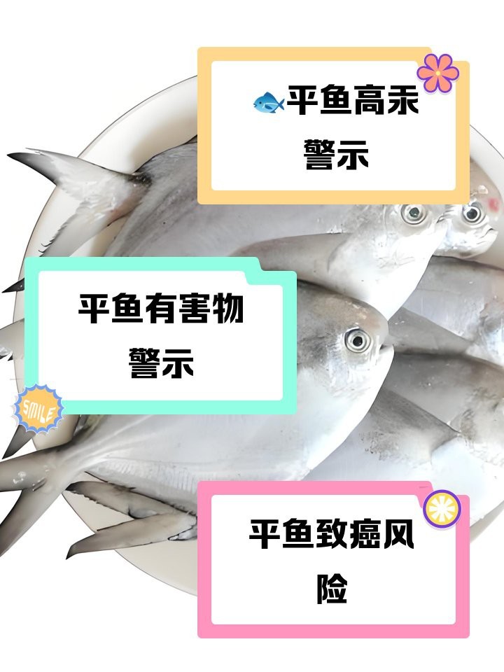 金龍魚視頻原創作品