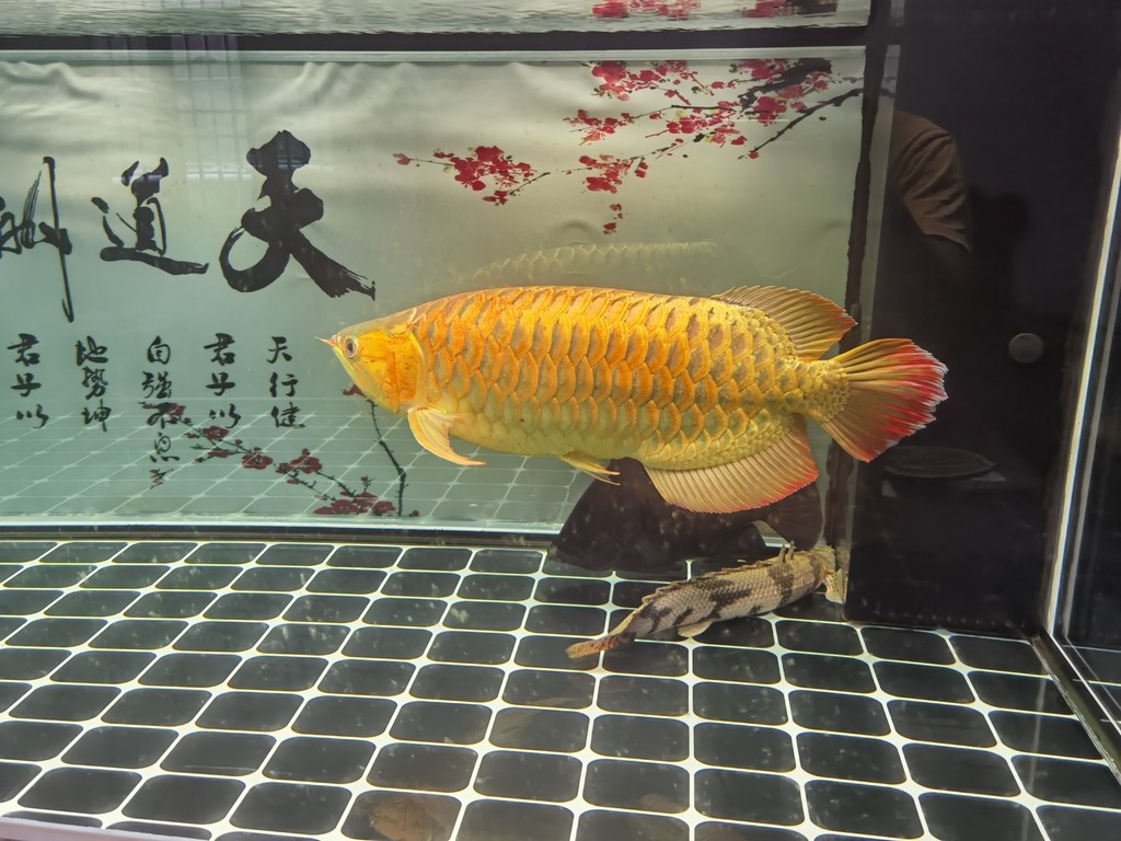 西安潤豐電子科技有限責(zé)任公司（西安潤豐電子科技有限責(zé)任公司怎么樣）