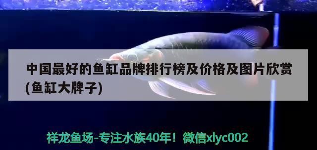 銀龍魚是淡水魚嗎：銀龍魚屬于龍魚嗎
