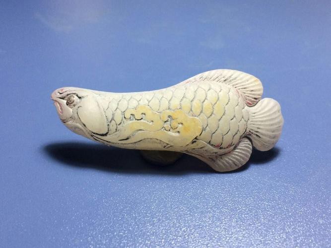 西城龍魚的飼養(yǎng)難度如何？，西城龍魚通用飼養(yǎng)難點詳解