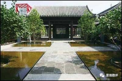 魚缸里面可以種什么樹：在魚缸內種植樹木時，需要注意以下幾點