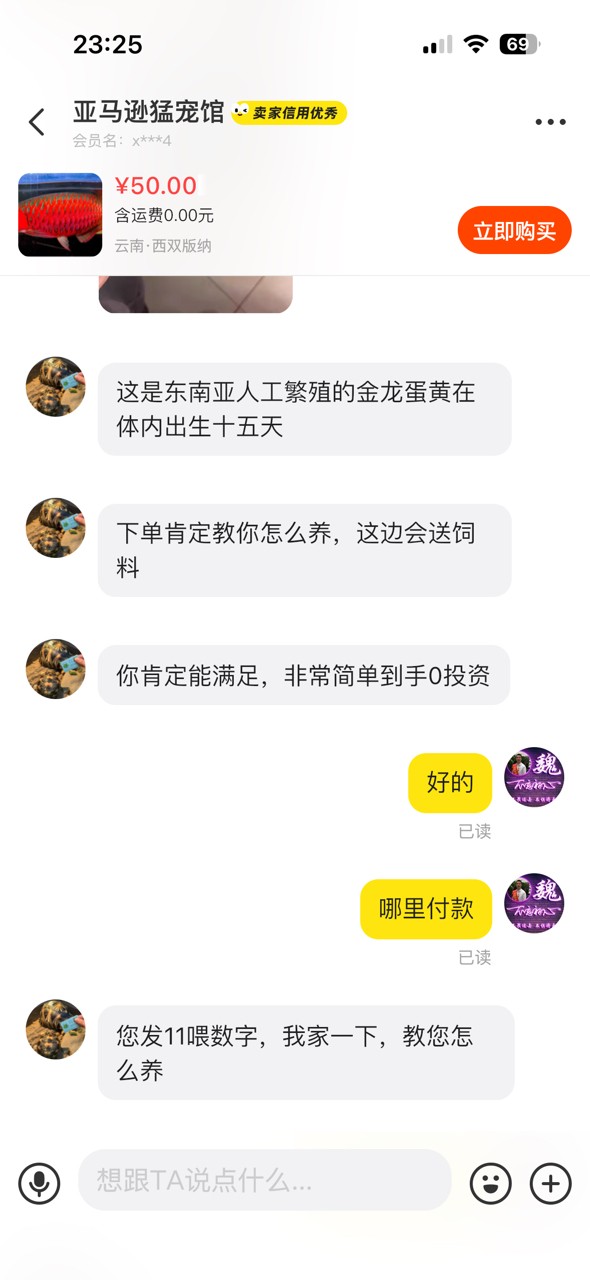 金龍魚幼苗暖黃看不見，只見大尾巴