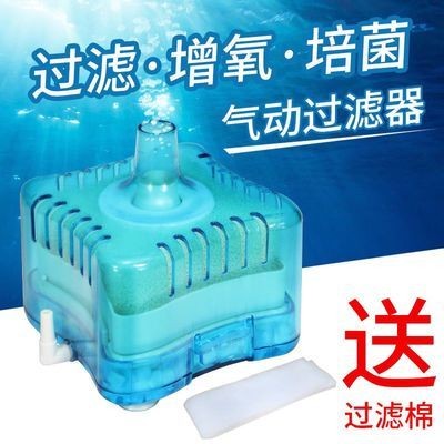 銀龍魚掉魚鱗怎么治? 銀龍魚掉鱗片用什么藥治療(銀龍魚立鱗病用什么藥) 銀龍魚百科 銀龍魚掉鱗片用什么藥治療(銀龍魚立鱗病用什么藥) 銀龍魚掉鱗片用什么藥治療(銀龍魚立鱗病用什么藥) 銀龍魚百科