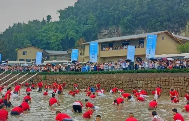 紅龍魚2233祥龍魚場最新活動時間 紅龍魚2233祥龍魚場最新活動時間 龍魚論壇 第6張