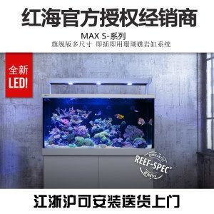草缸與底濾魚缸的區別：底濾魚缸可以改造成草缸嗎