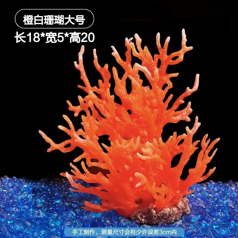 魚缸珊瑚造景圖片大全：魚缸珊瑚造景圖片大全大全