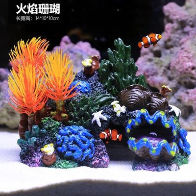 魚缸珊瑚造景圖片大全：魚缸珊瑚造景圖片大全大全