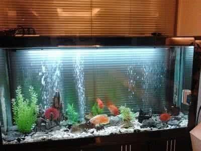 <strong><mark>如皋</mark></strong>市小龍水產養殖場（<strong><mark>如皋</mark></strong>市小龍水產養殖場地址）