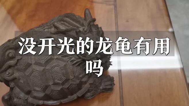 不開光的龍龜有風水作用嗎？ 不開光的龍龜有風水作用嗎？ 龍魚論壇 第2張