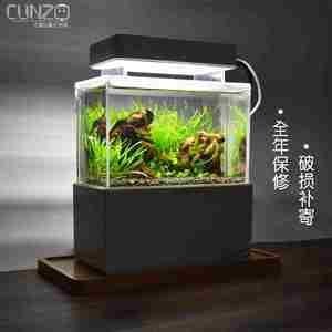 底濾魚缸適合做生態缸嗎（底濾魚缸與其他過濾方式對比除了底濾魚缸的水質穩定）