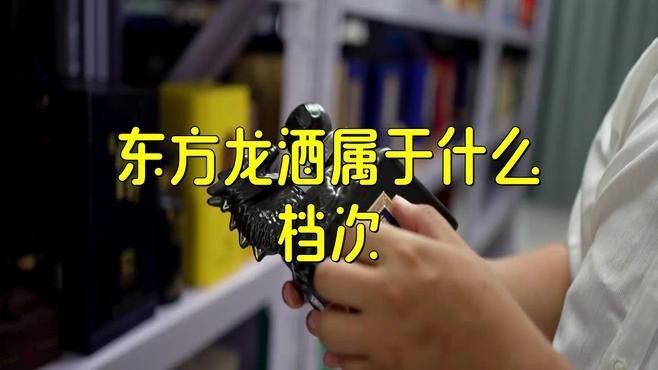 五糧液東方龍系列哪個性價比最高？