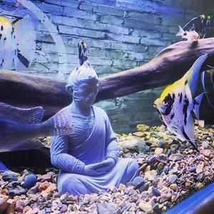 佛像魚缸造景需要注意造景原則、底砂選擇、風水講究以及安全注意事項：佛像魚缸造景需要注意什么？
