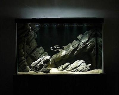 佛像魚缸造景需要注意造景原則、底砂選擇、風水講究以及安全注意事項：佛像魚缸造景需要注意什么？