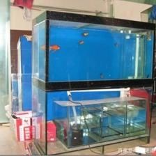 底過濾魚缸的水位調節技巧：底過濾魚缸水位加多高合適取決于魚缸的具體類型和設計 底過濾魚缸的水位調節技巧：底過濾魚缸水位加多高合適取決于魚缸的具體類型和設計 魚缸百科 第2張