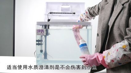 魚缸澄清劑怎么使用：如何使用魚缸澄清劑