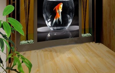水族館設計理念探索魚缸背景的步驟和注意事項：如何制作和使用黑色的魚缸背景