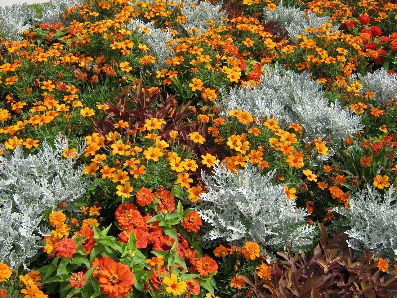 新鄉市開發區花園花卉經營部（新鄉市開發區花園花卉經營部電話）