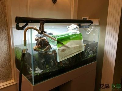 魚缸水位管理的重要性:缸內無管件魚缸加水的最佳位置應該是底部 魚缸百科 第1張 魚缸水位管理的重要性:缸內無管件魚缸加水的最佳位置應該是底部 魚缸水位管理的重要性:缸內無管件魚缸加水的最佳位置應該是底部 魚缸百科 第1張