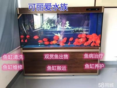 可麗愛魚缸官網價格表大全（可麗愛魚缸價格表大全） 可麗愛魚缸官網價格表大全（可麗愛魚缸價格表大全） 魚缸百科 第3張