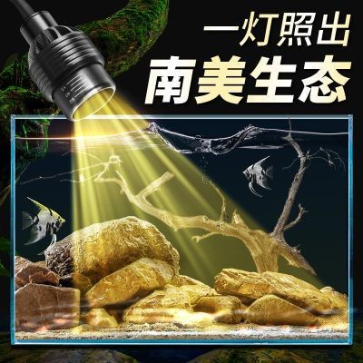 小佩魚(yú)缸燈關(guān)不了怎么辦：小佩魚(yú)缸燈關(guān)不了的問(wèn)題如何自行更換魚(yú)缸燈燈泡