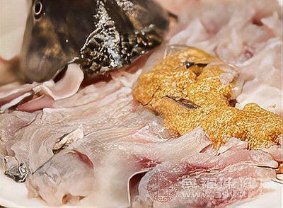 鯰胡子魚為何盡量少吃