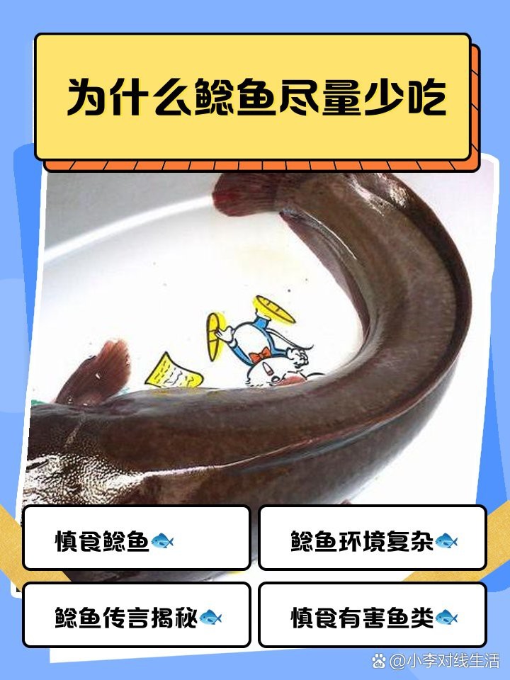 鯰胡子魚為何盡量少吃