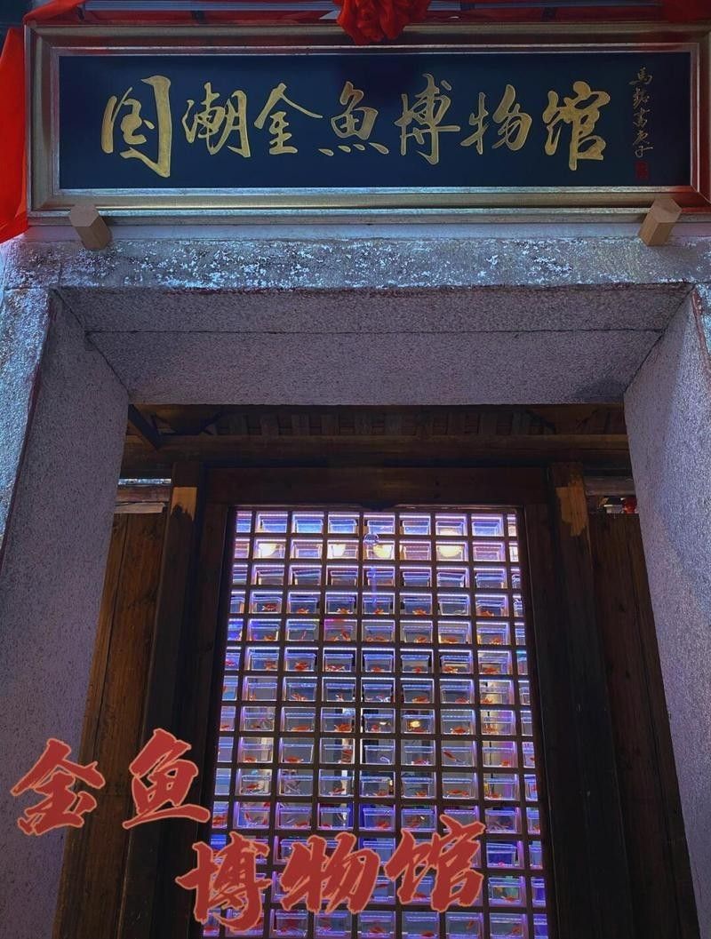 福州飛藝的金魚有何特色？