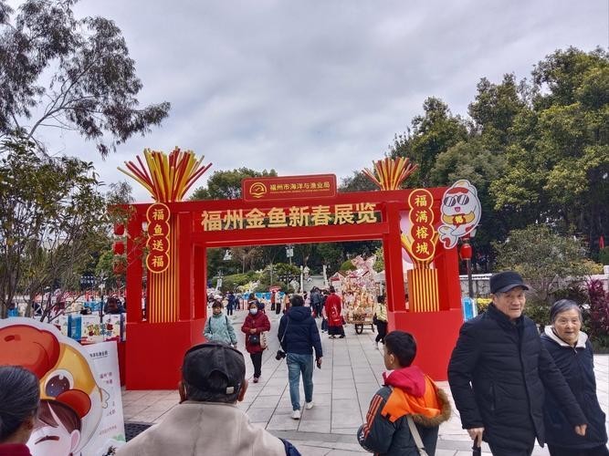 福州飛藝的金魚有何特色？