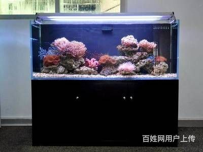 自制魚缸換水器diy指南想要提高換水效率不妨嘗試這種工具：如何給魚缸換水
