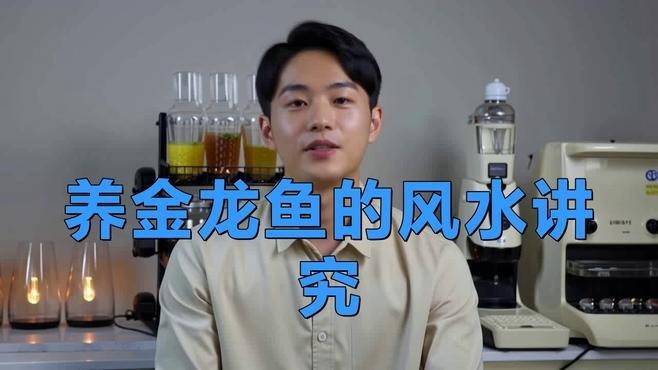 風水龍魚的最佳飼養環境