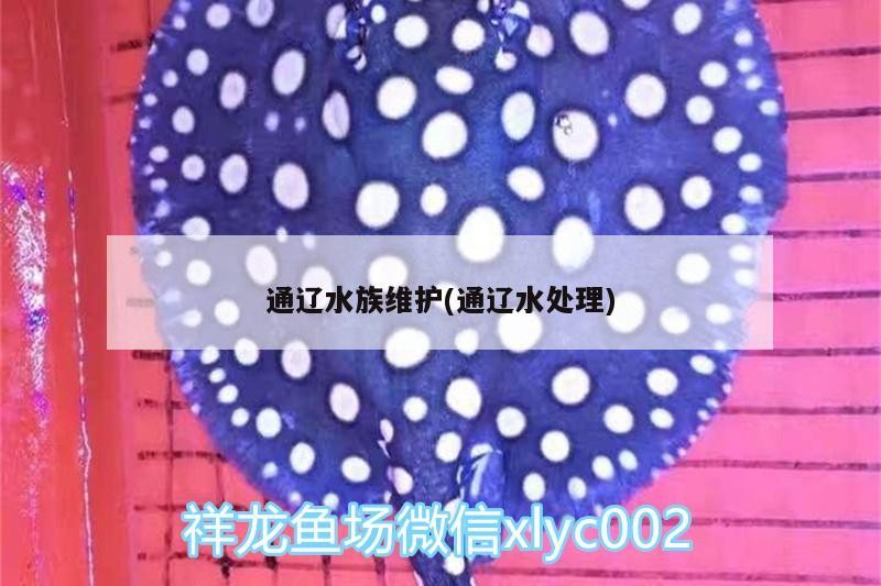 通遼水族維護(hù)(通遼水處理)