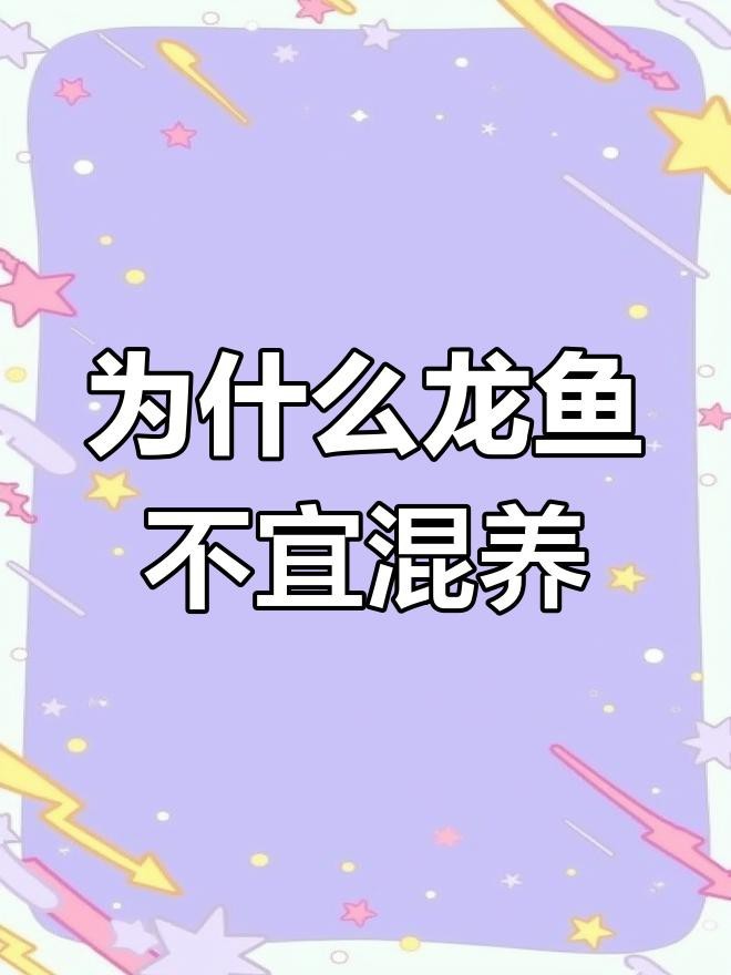 龍魚(yú)養(yǎng)2條可以嗎