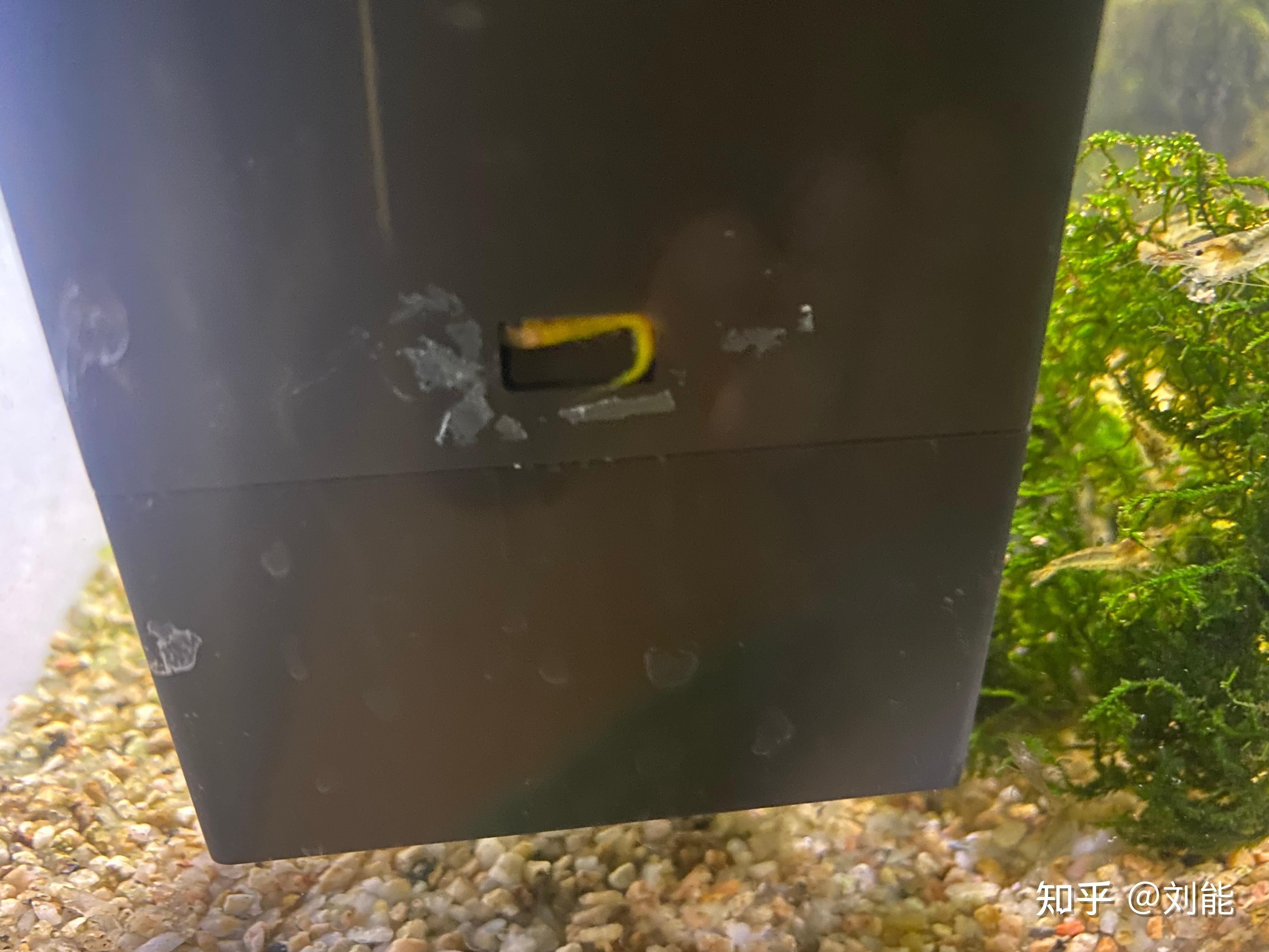 小佩魚缸水泵不工作怎么回事：小佩魚缸水泵不工作怎么辦
