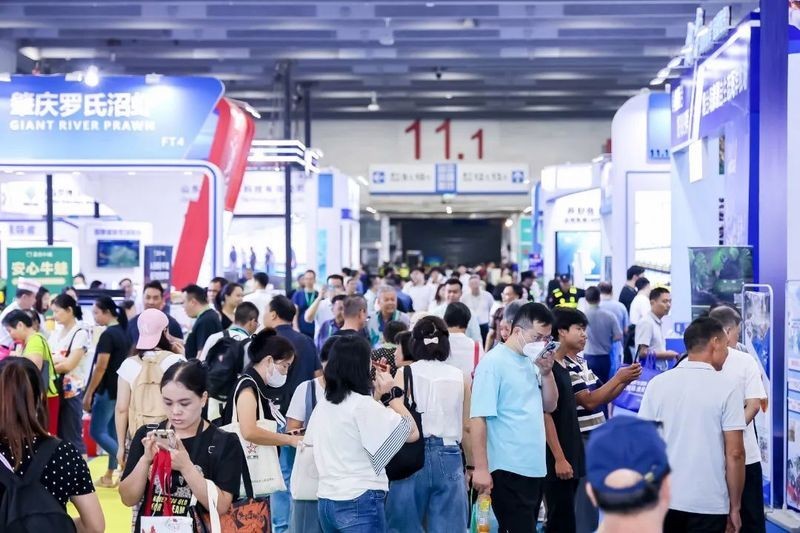 觀賞魚展會2025年時間表最新 2025長城杯龍魚大賽 第5張 觀賞魚展會2025年時間表最新 觀賞魚展會2025年時間表最新 2025長城杯龍魚大賽 第5張