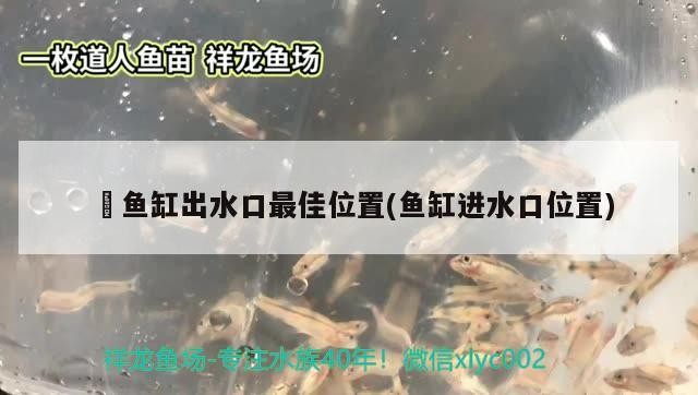 高新開發區小小水族店