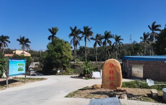 廣州龍魚批發市場有哪些知名的商家？ 廣州龍魚批發市場有哪些知名的商家？ 2025長城杯龍魚大賽 第9張