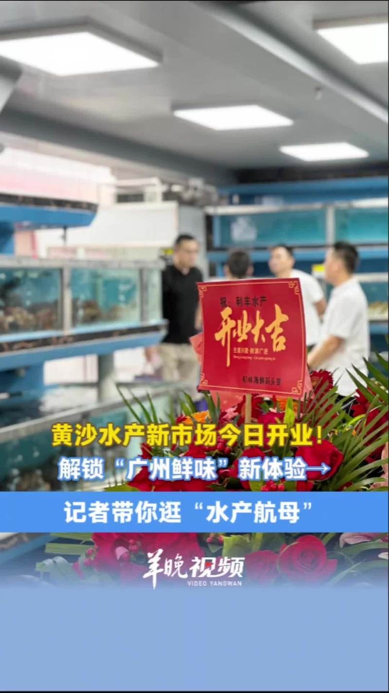 廣州龍魚批發市場有哪些知名的商家？ 廣州龍魚批發市場有哪些知名的商家？ 2025長城杯龍魚大賽 第6張