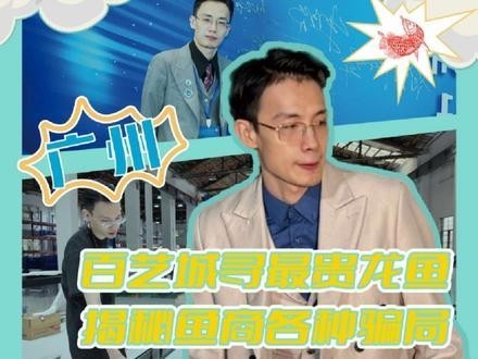 廣州龍魚批發市場有哪些知名的商家？ 廣州龍魚批發市場有哪些知名的商家？ 2025長城杯龍魚大賽 第4張