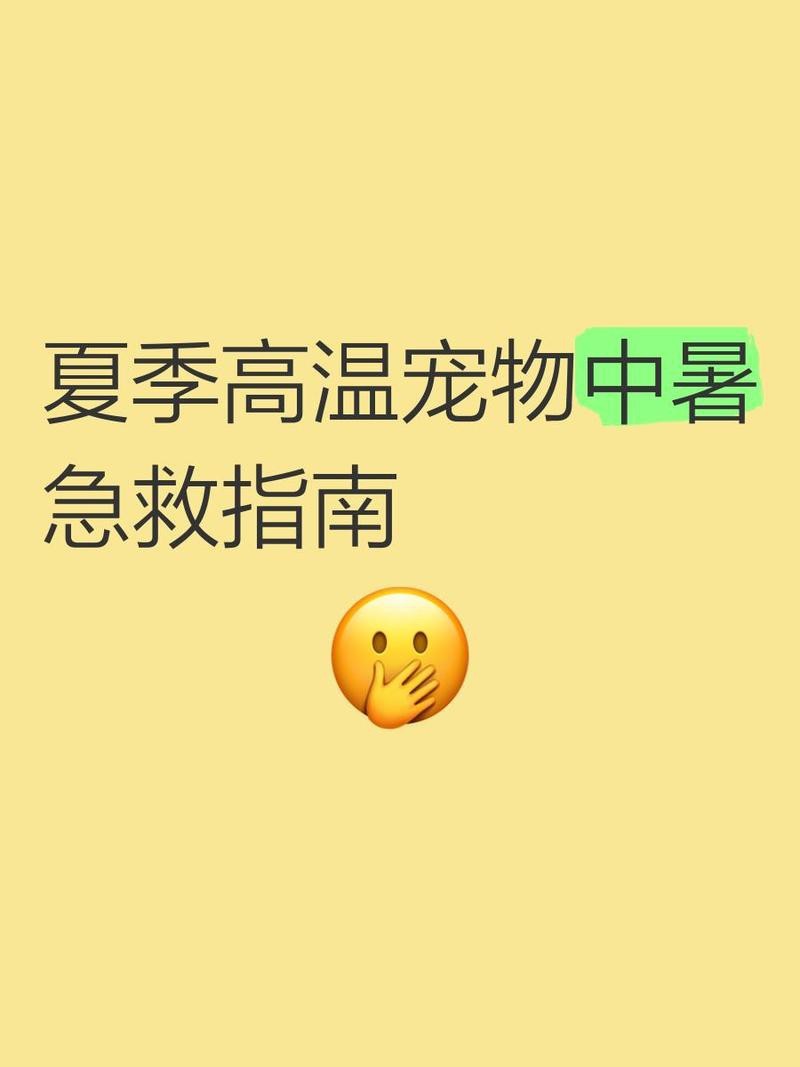 六角恐龍中暑后應(yīng)該如何急救？ 六角恐龍中暑后應(yīng)該如何急救？ 龍魚百科 第4張