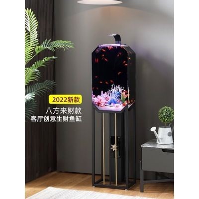 鳳尾魚魚缸溫度控制到最低再換水]：關于鳳尾魚魚缸水溫的詳細信息
