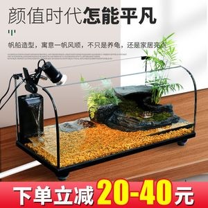 龍魚好養不好養的原因：龍魚好養嗎龍魚飼養注意事項
