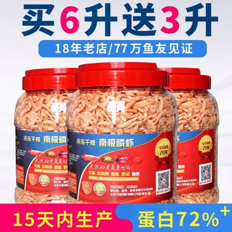 龍魚可以吃銀魚嗎視頻 龍魚可以吃銀魚嗎視頻 龍魚百科 第2張