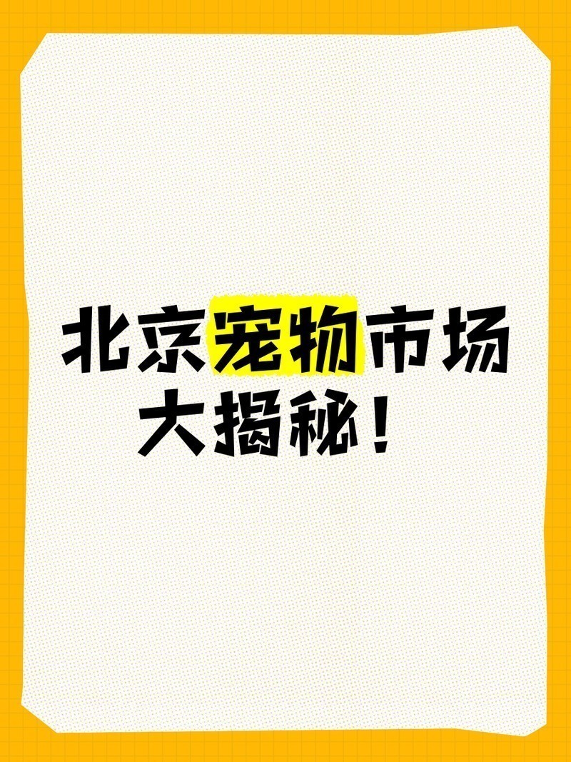 詳細(xì)閱讀:寵物市場(chǎng)有哪些知名的犬場(chǎng)貓舍? 寵物市場(chǎng)有哪些知名的犬場(chǎng)貓舍?
