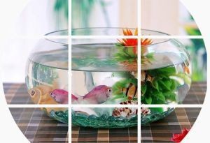天津市濱海新區(qū)天泉閣水族館（天津市濱海新區(qū)天泉閣水族館電話）